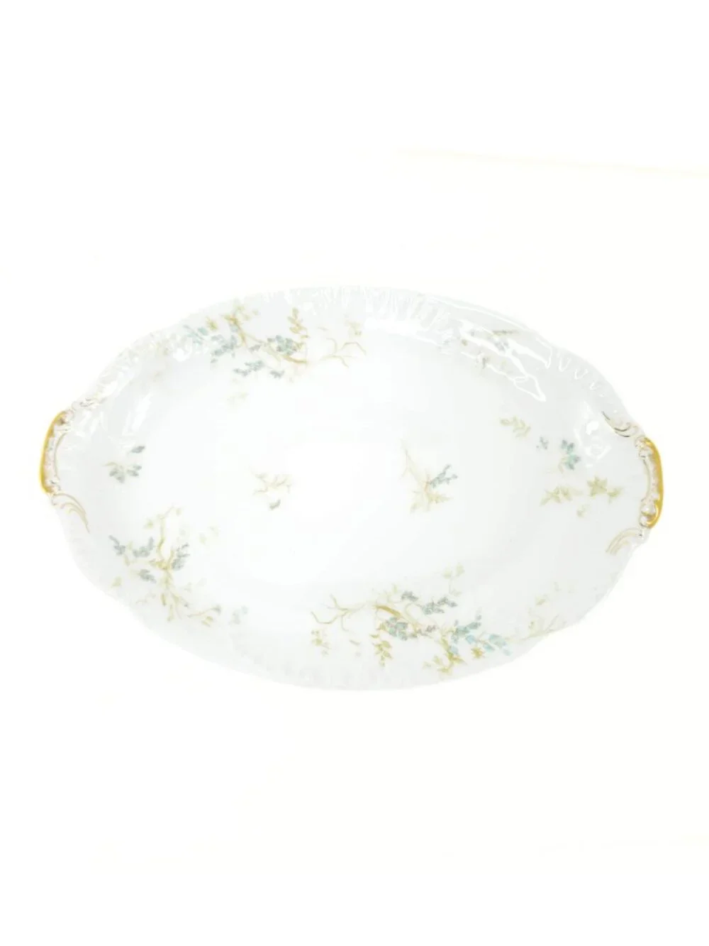 c. 1880 Haviland x Wright Tyndale van Roden Schleiger 245 Serving Platter